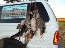 A nice limit of Specks in the North wind.